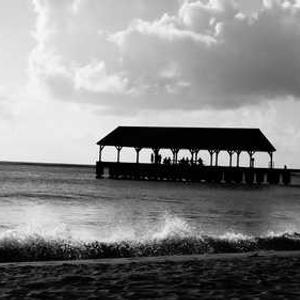 sunlit 1688 ทีมสนับสนุนมืออาชีพ หลายภาษา
